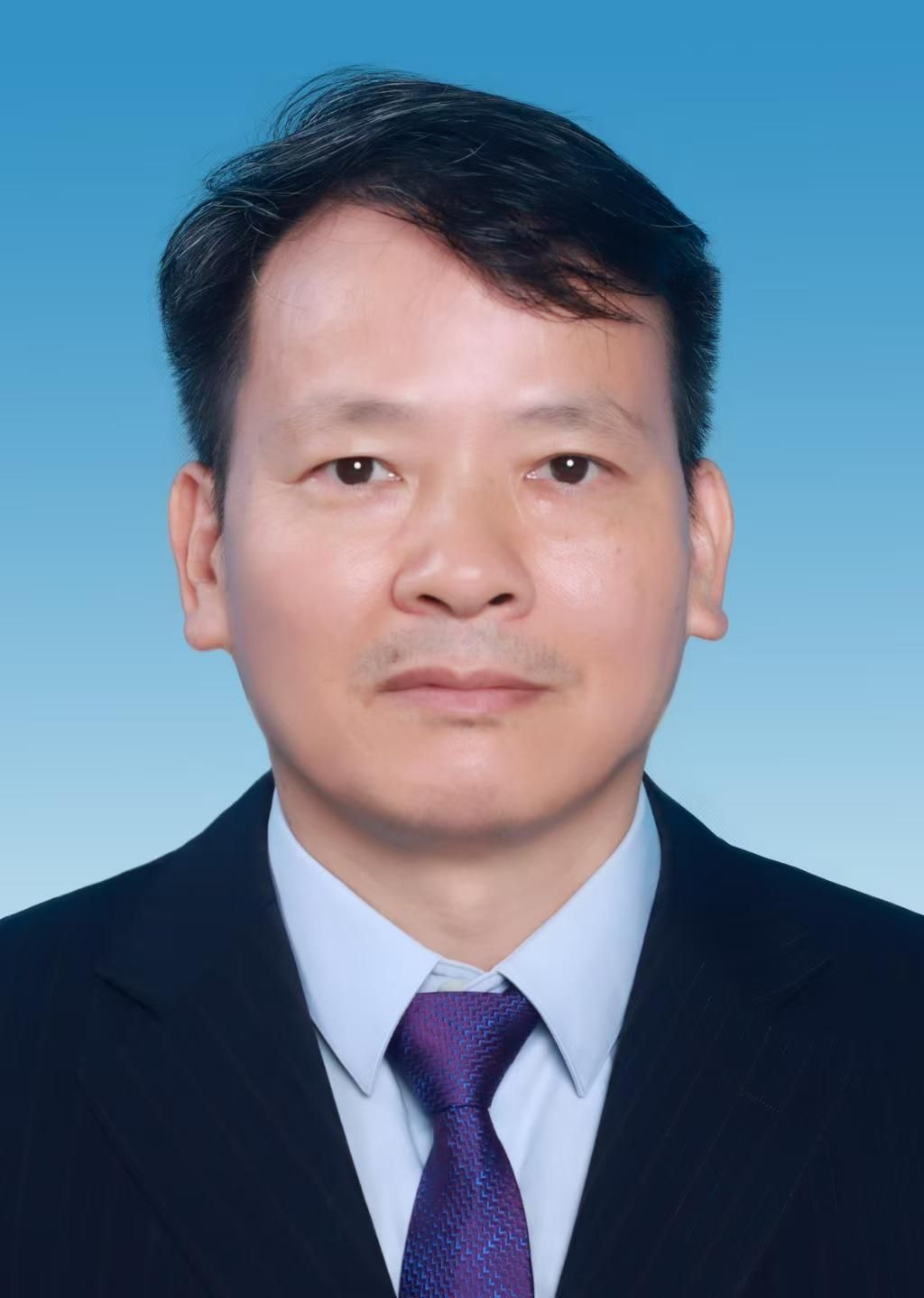 新澳金龙资料大全