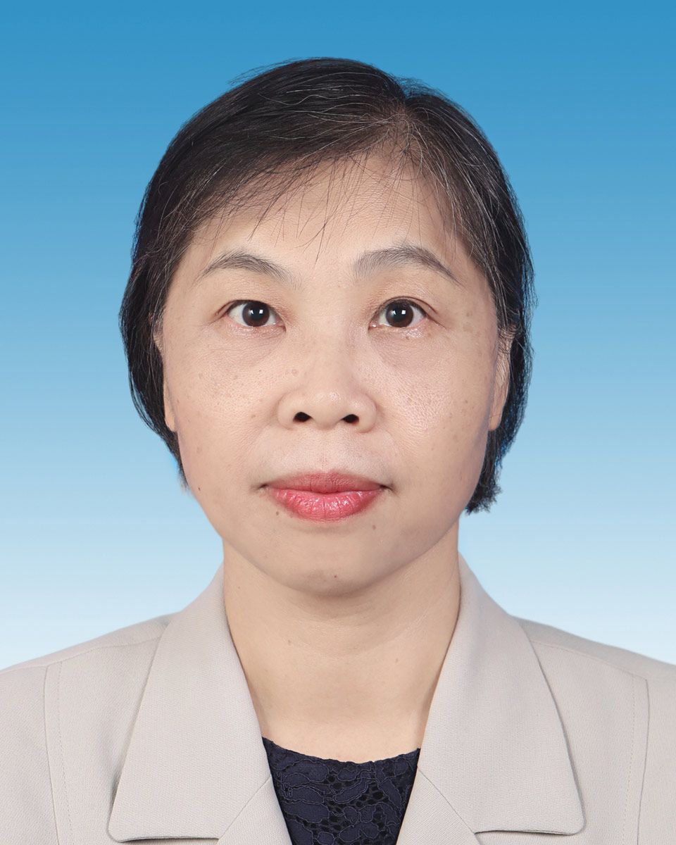 新澳金龙资料大全