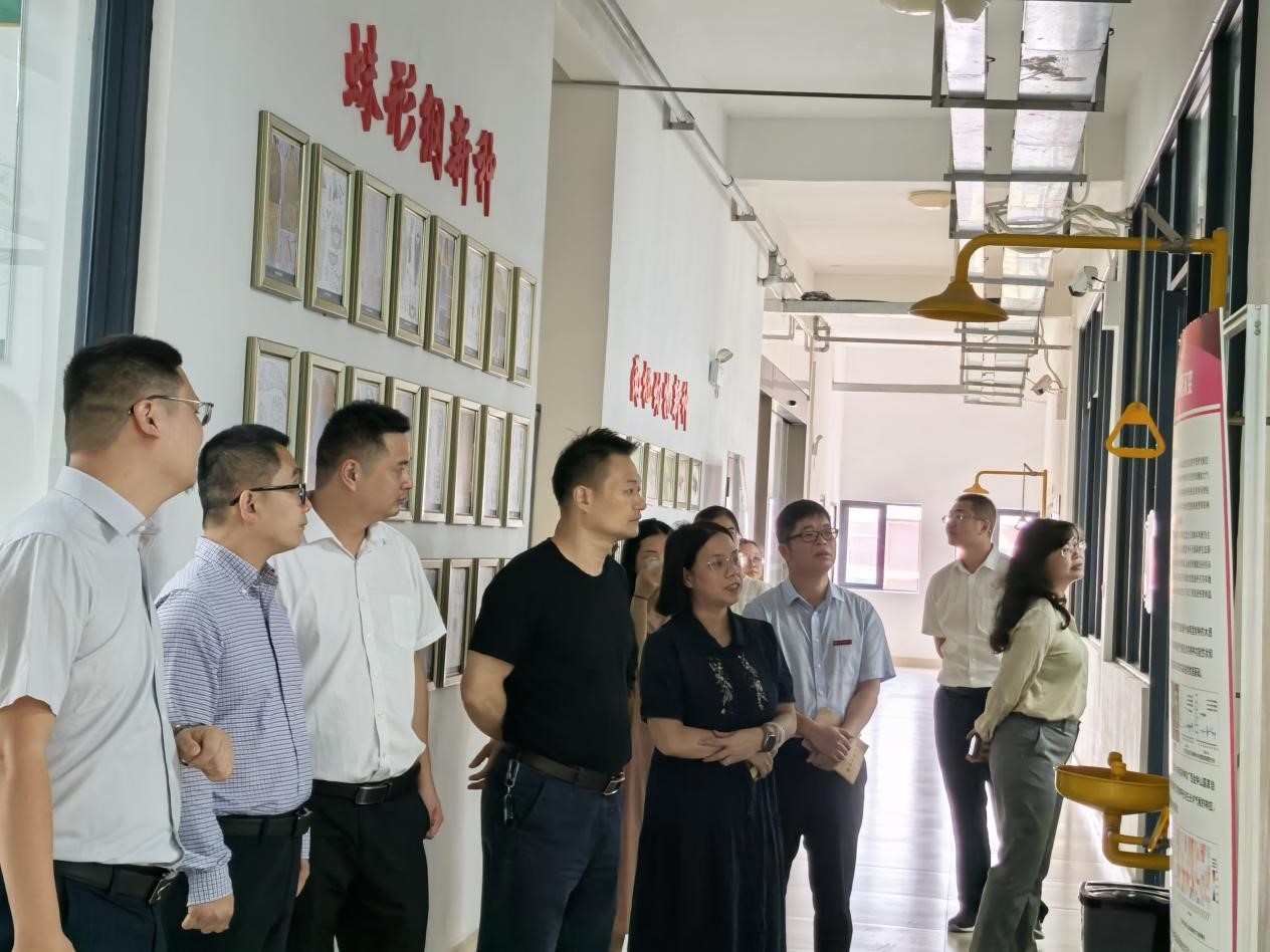 新澳金龙资料大全