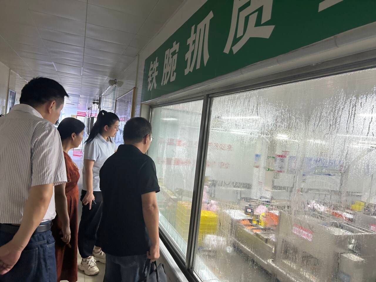 新澳金龙资料大全
