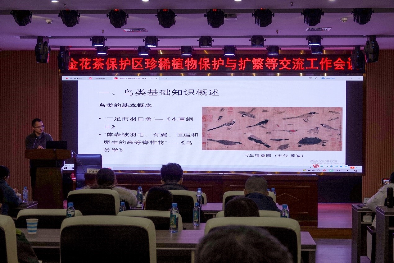 新澳金龙资料大全