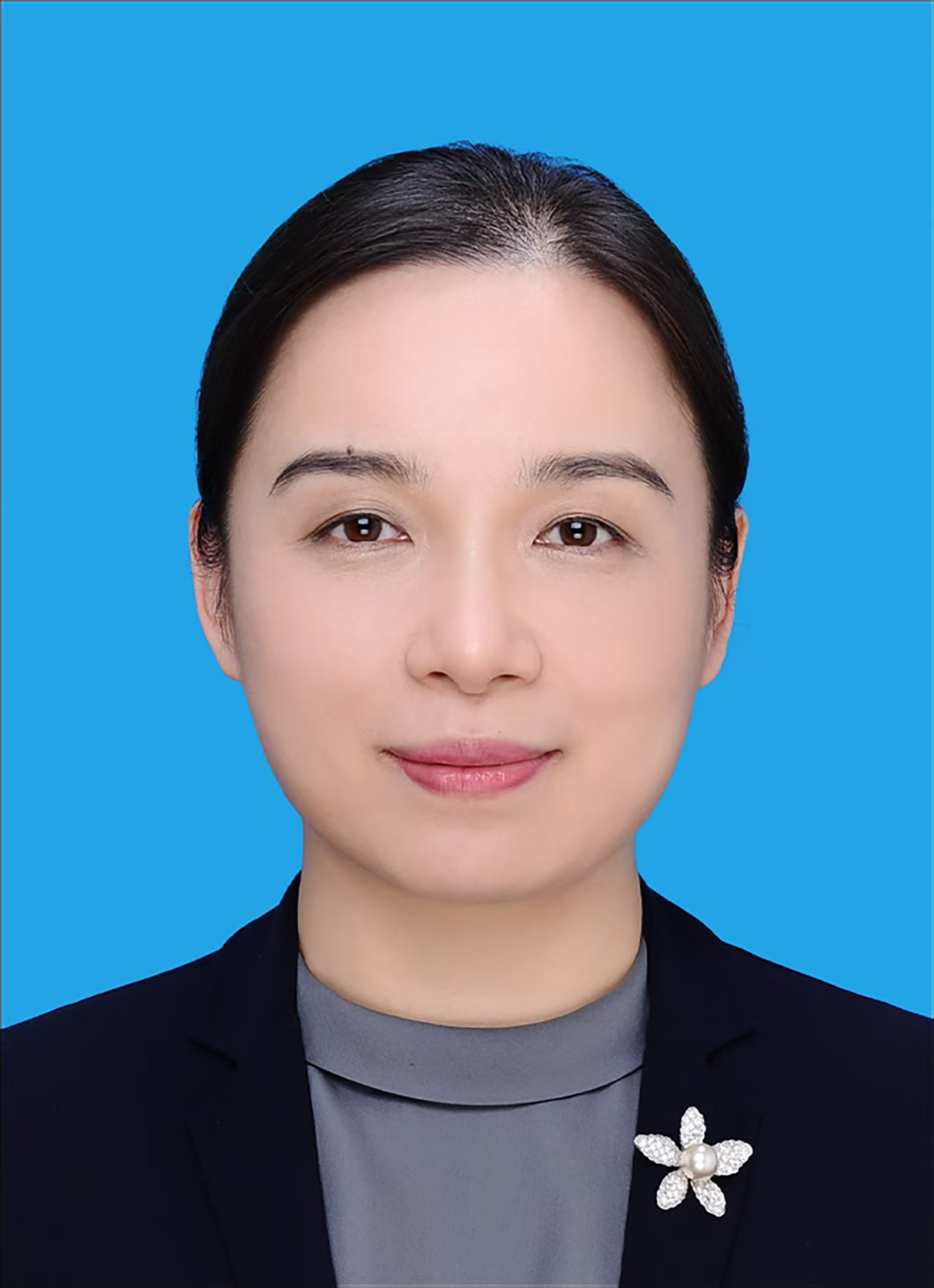 新澳金龙资料大全