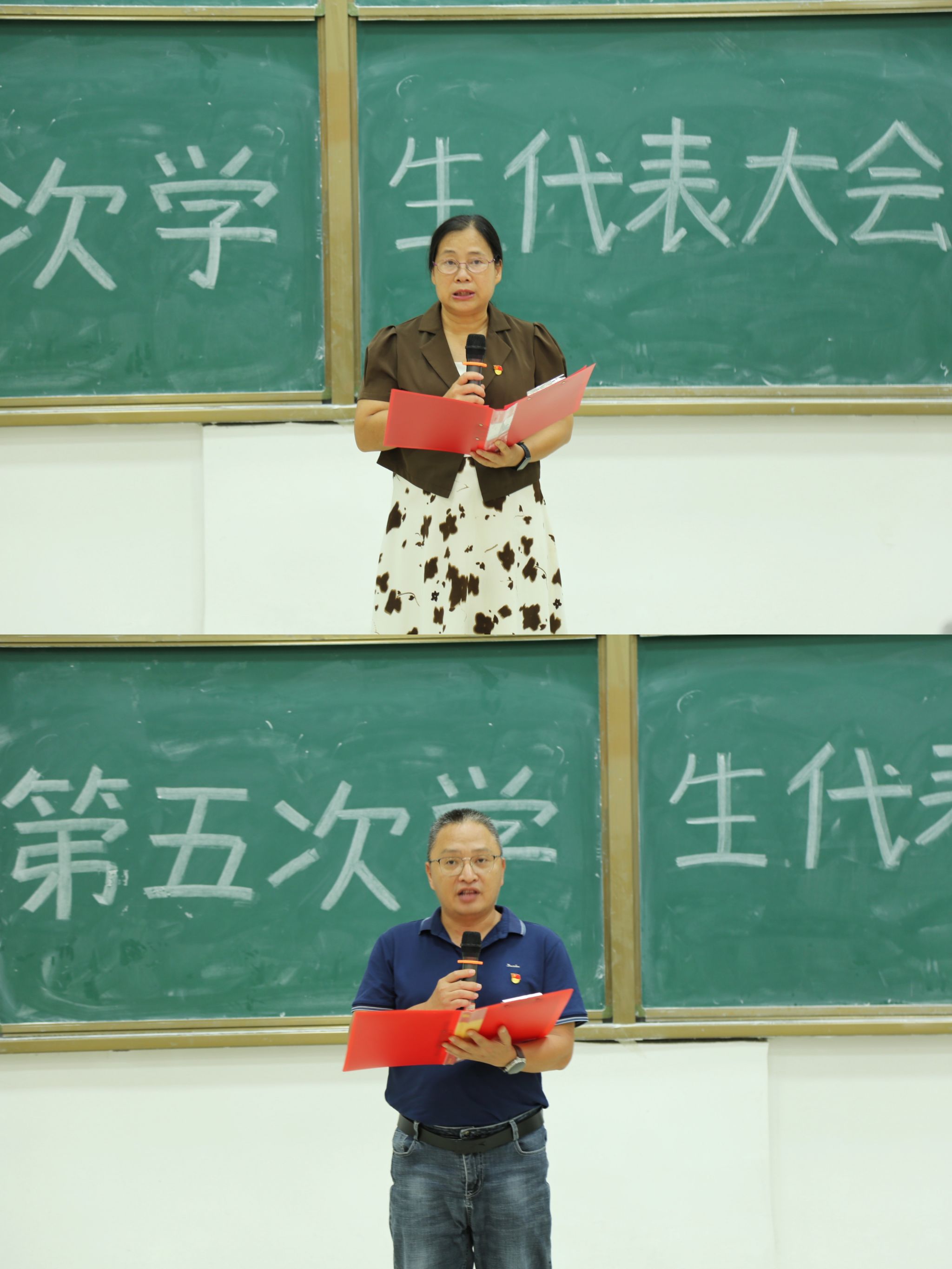 新澳金龙资料大全