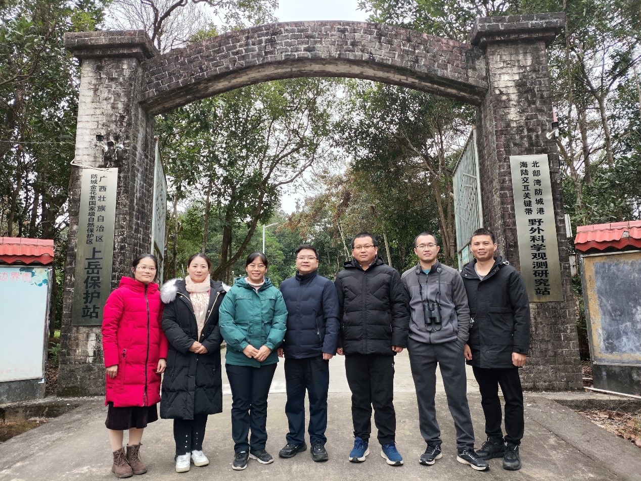 新澳金龙资料大全