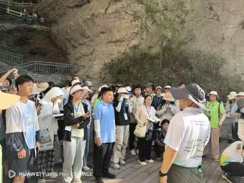 新澳金龙资料大全