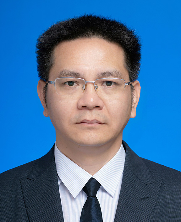 新澳金龙资料大全